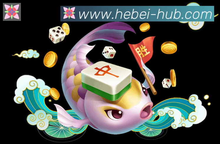 奖项证书